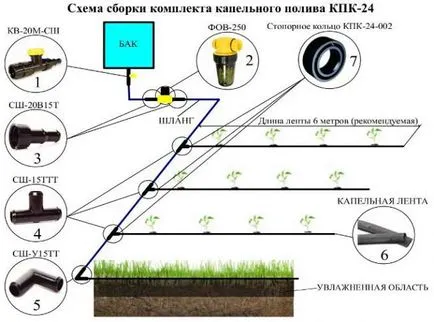 Cseppentővel csepegtető öntözés funkciói és jellemzői, típusai, és a telepítés szabályai (locsolás) Cseppentővel csepegtető öntözés funkciói és jellemzői, típusai, és a telepítés szabályai