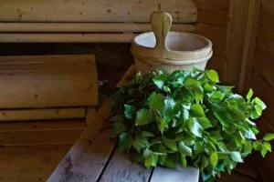 Mikor kell kötni seprű a fürdő - a teljes útmutató és tippek