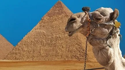 Ha nyitott Egyiptom, a legfrissebb hírek járatok 2017-ben nem valószínű, hogy újra - A legfrissebb hírek