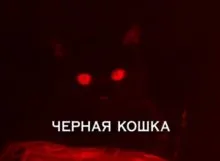 Macskák - dokumentumfilm az online (film) Macskák - a dokumentumfilm Online