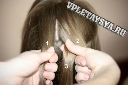 Kos tüske lépésre zsinórozás fényképes és videó műhelyek