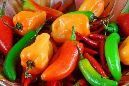 Meredek - Pepper egészséges táplálkozás