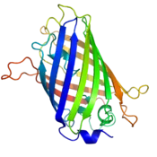 Miért Genetic Engineering