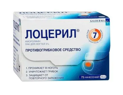 Hogyan működik egy gomba