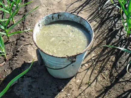 Csirke trágya műtrágya tulajdonságok, alkalmazások és az értékeléseket, fotó és videó