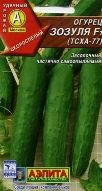 A legjobb fajta uborka felülvizsgálata az új fajták és hibridek az uborka