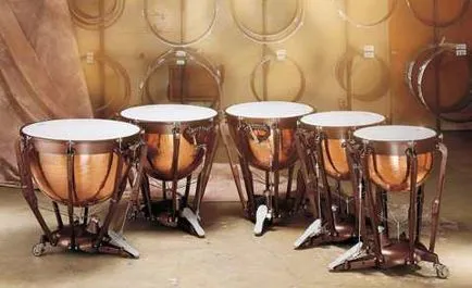 Timpani - érdekes tények, videók, hallgat, fotó, hang