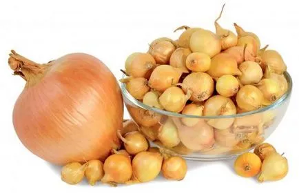 Dughagyma ültetése, termesztése és karbantartása (dughagyma) Dughagyma ültetése, termesztése és karbantartás