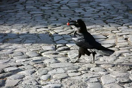 Tower of London Tower of London magát