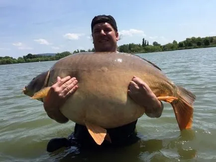 Catching ponty, hogyan lehet megtalálni, és hogyan kell fogni a nagy hal