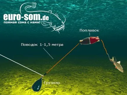 Fogása Harcsa donk a parton -, hogyan lehet egy alsó kezeljék saját kezét, és a fogási szabályok