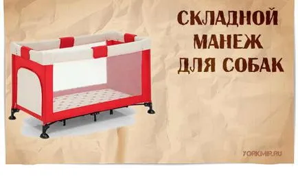 Járóka kutyák, alak, anyag, ellátás arénában