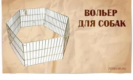 Járóka kutyák, alak, anyag, ellátás arénában