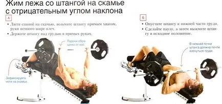 A technika a kiegyenlítés a mellkas alsó izmok 3 fő gyakorlatok (izom) A technika a kiegyenlítés a mellkas alsó izmok 3 fő feladatok