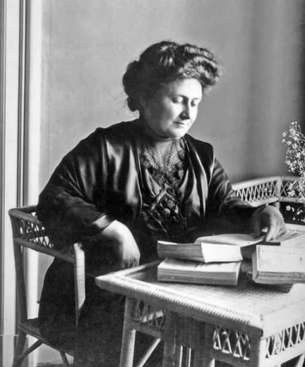 A technika a Maria Montessori (51 fotó), mi ez a rendszer a korai fejlesztés, játékok, anyagok,