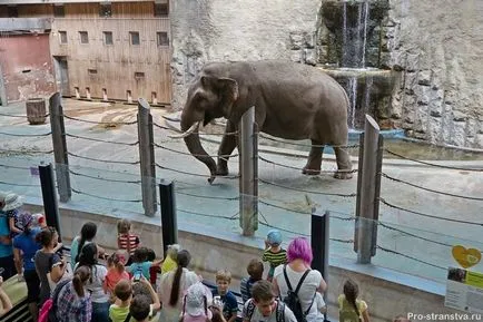 Moszkvai állatkertben torlasz Moszkva (Moscow Zoo) Moszkva Állatkert a barikádokon Moszkvában