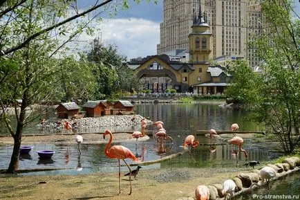 Moszkvai állatkertben torlasz Moszkva (Moscow Zoo) Moszkva Állatkert a barikádokon Moszkvában