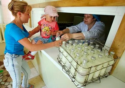 Tejtermék 2016 mit dokumentumok szükségesek és hogyan kell helyesen gondoskodjon