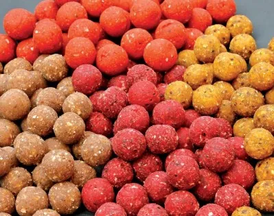 Bit és csali fogása ponty - amelyek által kiválasztott tapasztalt halászok (fogása) Bit és csali fogása ponty - amelyek által kiválasztott tapasztalt halászok