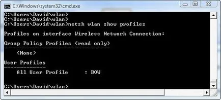 Konfigurálása vezeték nélküli kapcsolatok Windows Server 2008 és a Windows Vista cli keresztül netsh wlan (kapcsolók) Konfigurálása vezeték nélküli kapcsolatot a Windows Server 2008 és a Windows Vista a cli netsh wlan
