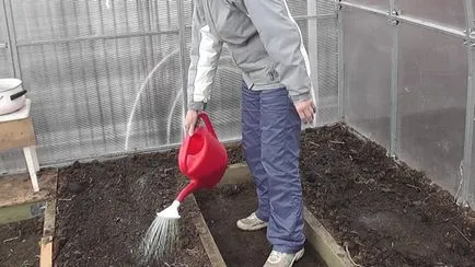 Üvegházak kezelés polikarbonát tavasszal, mint a kártevők és betegségek, a talaj a vetést megelőzően, (betegségek) Feldolgozása polikarbonát üvegházak tavasszal, mint a kártevők és betegségek ültetés előtt a földet,