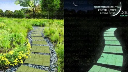 Az új technológia az üzleti - új megoldások katalógus (új technológiák az üzleti életben) Az új technológia az üzleti - új megoldások katalógus