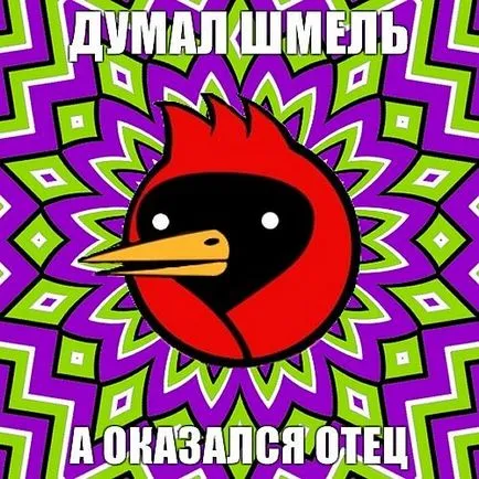 Omszk madár, hogy ha
