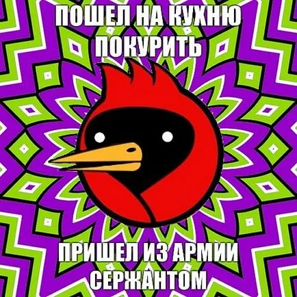 Omszk madár, hogy ha