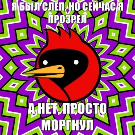 Omszk Crow, Netlore tanácsadás kutya, heiko müller, szárnyas végzet, vingedum, Omszk, Omszk Crow, Omszk