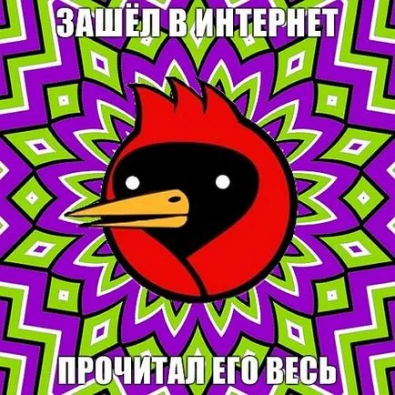 Omszk madár, hogy ha
