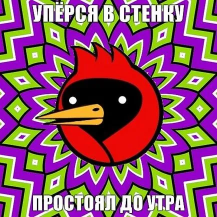 Omszk madár, hogy ha