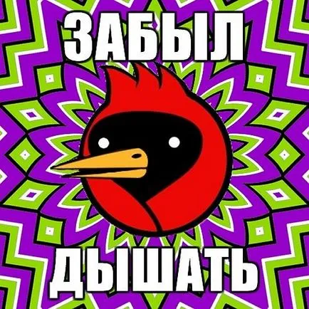 Omszk madár, hogy ha