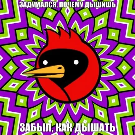 Omszk Crow, Netlore tanácsadás kutya, heiko müller, szárnyas végzet, vingedum, Omszk, Omszk Crow, Omszk