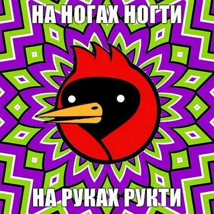 Omszk madár, hogy ha