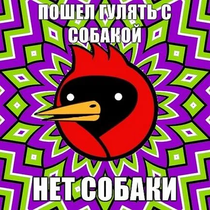 Omszk madár, hogy ha