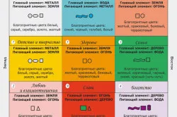 Orchid feng shui - a szimbólum a tökéletesség és harmónia (szimbólum) Orchid feng shui - a szimbólum a tökéletesség és harmónia