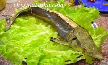 Sturgeon a sütőben - a recept egy fotó