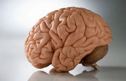 A tumor a fej és az első jelei a tünetek