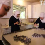 Kategória, kender termesztése