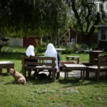Kategória, kender termesztése