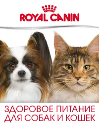 Takarmány Royal Canin Kutyáknak