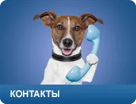 Capture a hazai és a vadon élő állatok