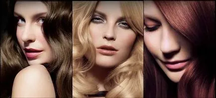Palettáról Mousse Loreal véleménye, válassza ki a megfelelő színt