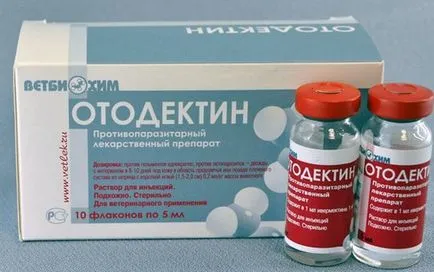 Otodektoz macskák, hogy a tünetek és kezelés (mint otodektoz macskák) Otodektoz macskák, hogy a tünetek és a kezelés