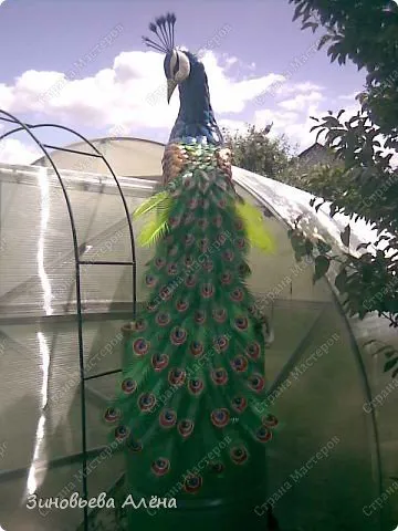 Peacock műanyag palackok mester osztály gyártása kézműves és videó (kézműves) Peacock műanyag palackok Master Class gyártási kézműves és videó