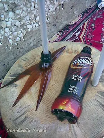 Peacock műanyag palackok mester osztály gyártása kézműves és videó (palackok) Peacock műanyag palackok Master Class gyártási kézműves és videó
