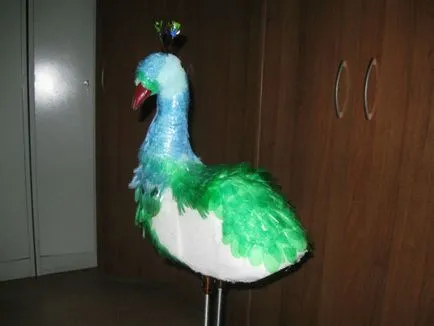 Peacock műanyag p class