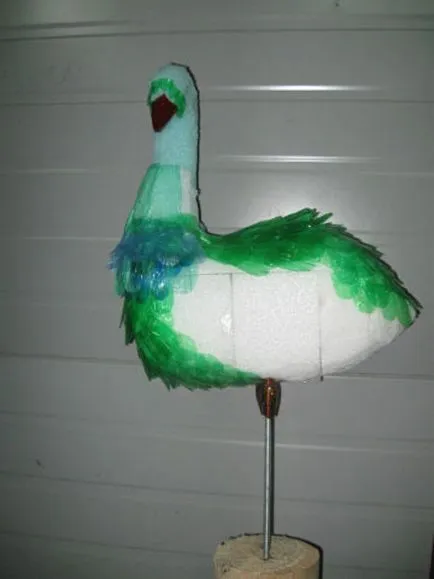Peacock műanyag p class