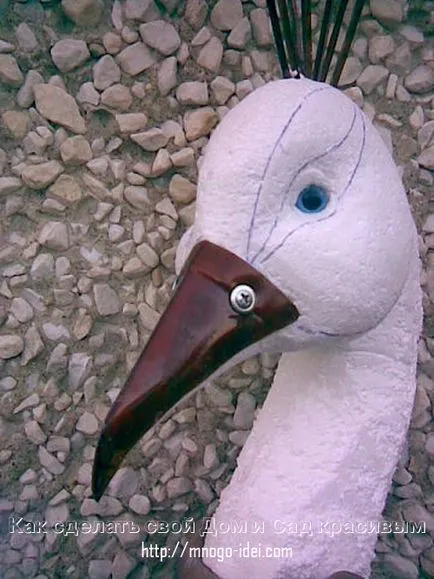 Peacock mesterkurzus