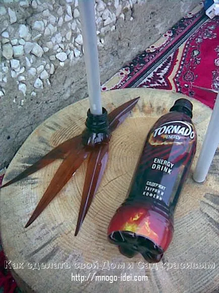 Peacock mesterkurzus